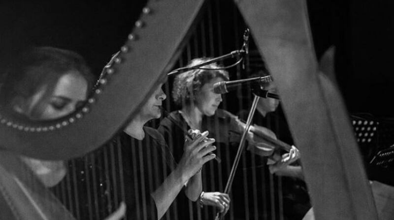 Up and coming traditional musicians will take to the stage at Siamsa Tire, Tralee, Co Kerry for Trad Connections