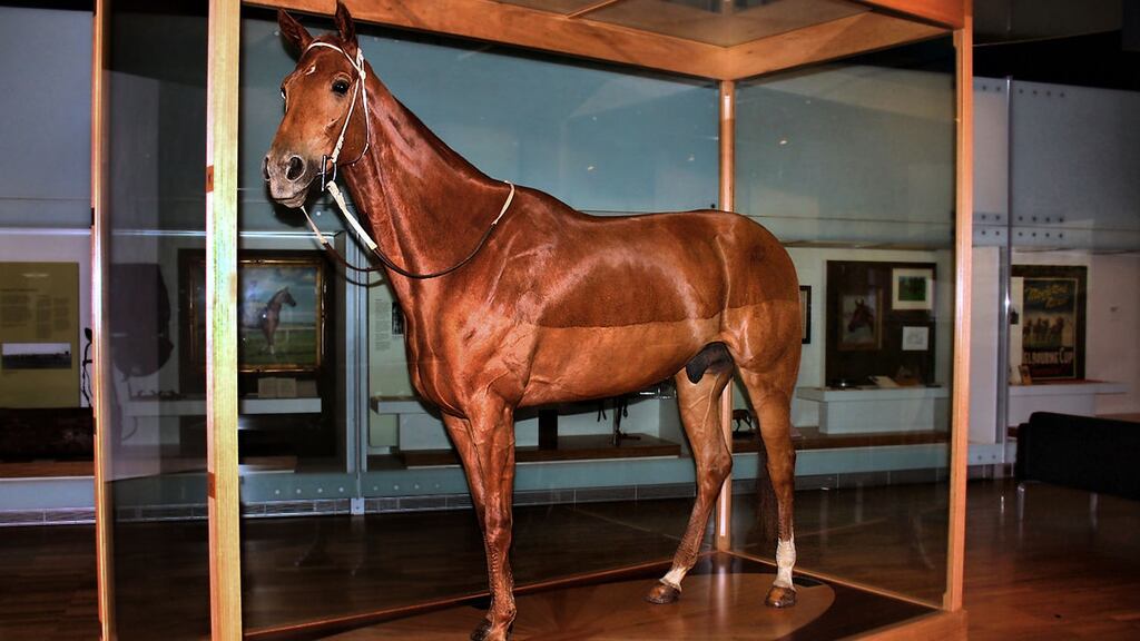 Phar Lap’s hide was preserved by a taxidermist and is now exhibited in the Melbourne Museum