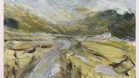 Joe Wilson will bring the mountain to you