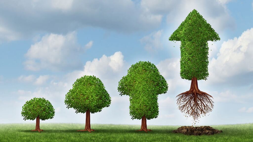 What to invest your money in is a big decision, so seeking guidance from an independent financial advisor should help. Photograph: Shutterstock.