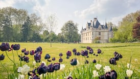 Escape to the châteaux: live a gilded life on a trip to the Loire Valley in France