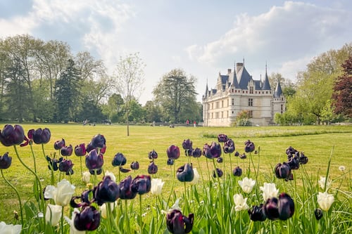 Escape to the châteaux: live a gilded life on a trip to the Loire Valley in France
