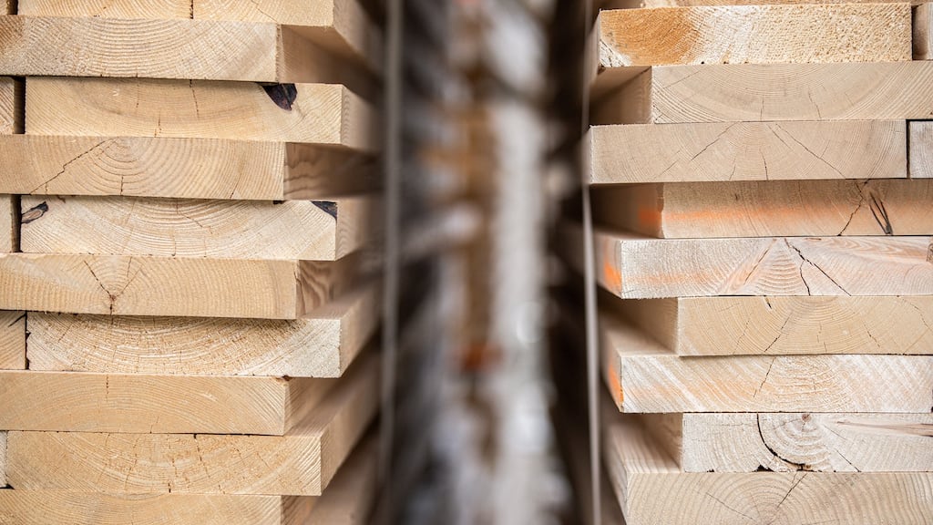 Taoiseach Micheál Martin has warned that there will be no Irish forestry industry by the end of October or November unless legislation before the Dáil dealing with licence appeals is passed.  File photographer: Akos Stiller/Bloomberg.