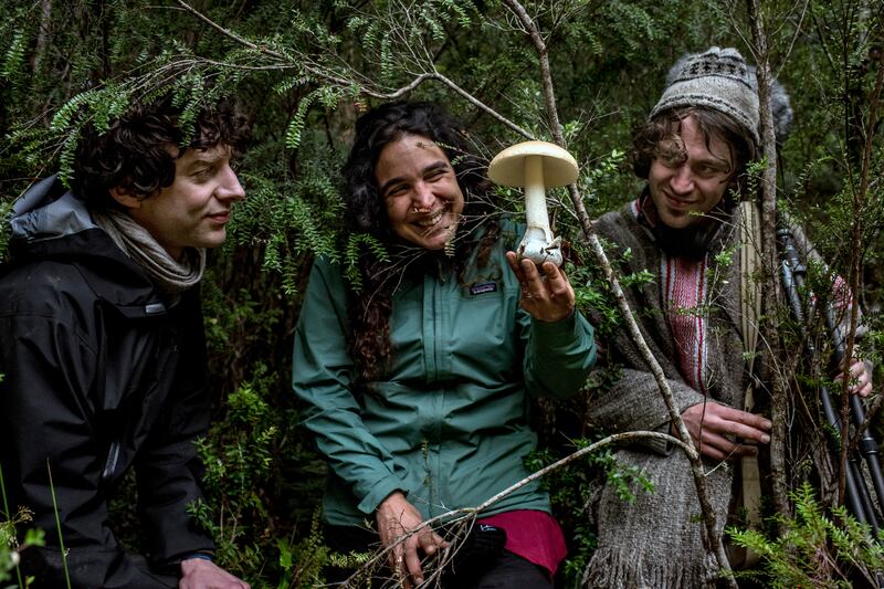 Giuliani Furci, a field mycologist, is flanked by the biologist Merlin Sheldrake, and his musician brother, Cosmo Sheldrake, during an expedition into Alerce Costero National Park in Chile. Photograph: Tomas Munita