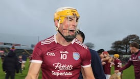 St Martin’s come from behind to beat Rathnure to Wexford hurling title; Portaferry triumph again in Down