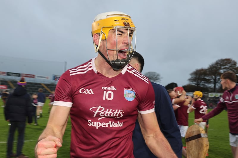 St Martin’s come from behind to beat Rathnure to Wexford hurling title; Portaferry triumph again in Down