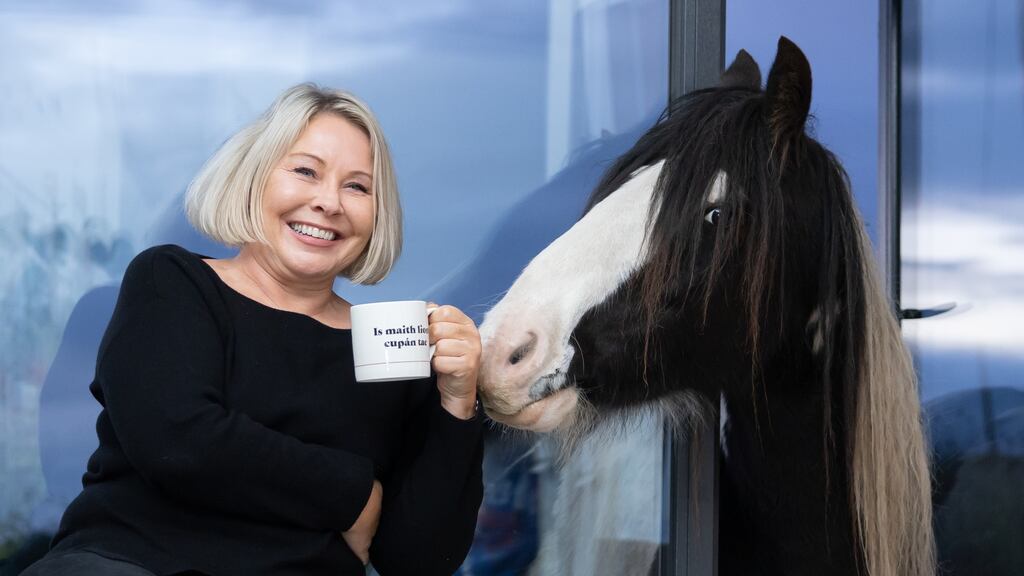 You’ll hear warnings against entering it on the record such as 'you won’t be able to put a nail in a wall' or 'you’ll need to ask the planners to paint the front door'. Photograph: Ryan Gallagher