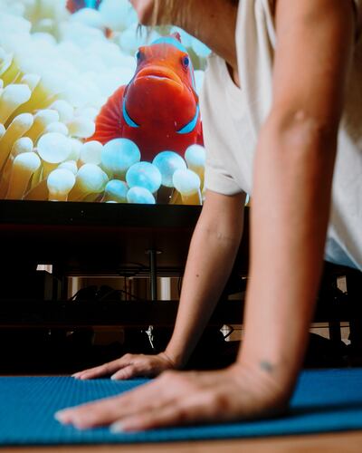 Muscle-building exercises that rely on your own body weight — push-ups, planks and sit-to-stands — can be incredibly effective. Photograph: Ryan Frigillana/The New York Times