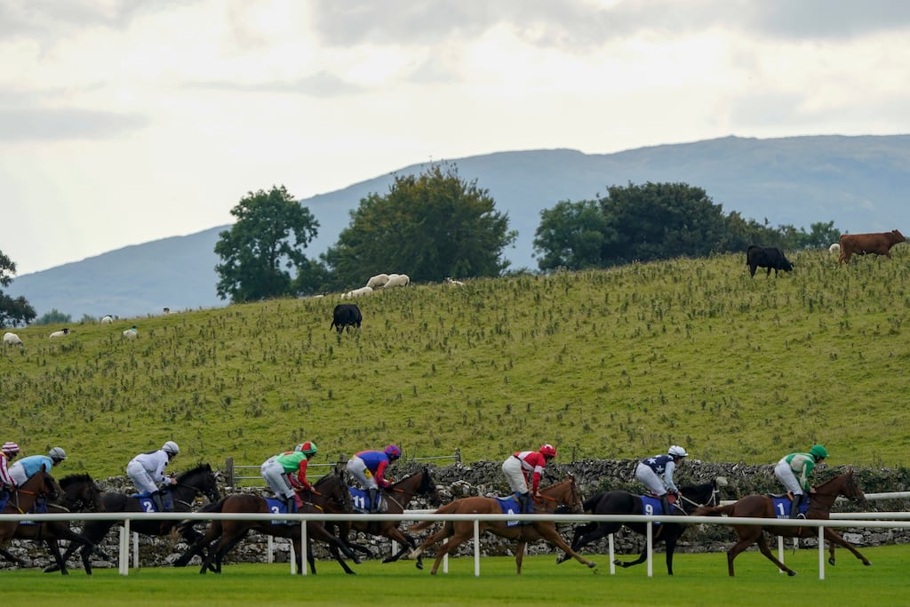 Racing TV coverage includes Leopardstown, Punchestown and the Curragh, as well as smaller venues such as Wexford, Sligo and Ballinrobe in Co Mayo. File photograph Getty Images