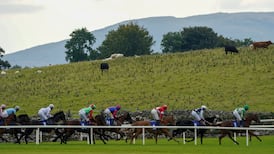 Racing TV confirms gambling ban would hit coverage