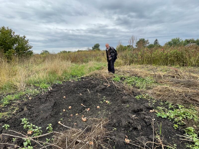 Petro Pivovar inspects a crater left by a mortar shell in the onion patch behind his family cottage in the village of Mospanove, northeastern Ukraine. Russian troops were driven from the area this month. Photograph: Daniel McLaughlin