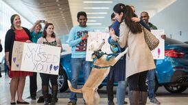 Heat over Trump immigration order rises as court battles loom