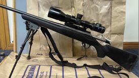 Gun found in bushes following Garda search in north Dublin