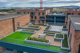 Green roofs and permeable paving: how to solve both the human and nature housing crises