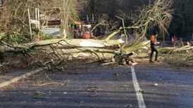 Storm Doris: About 4,000 will be without power overnight