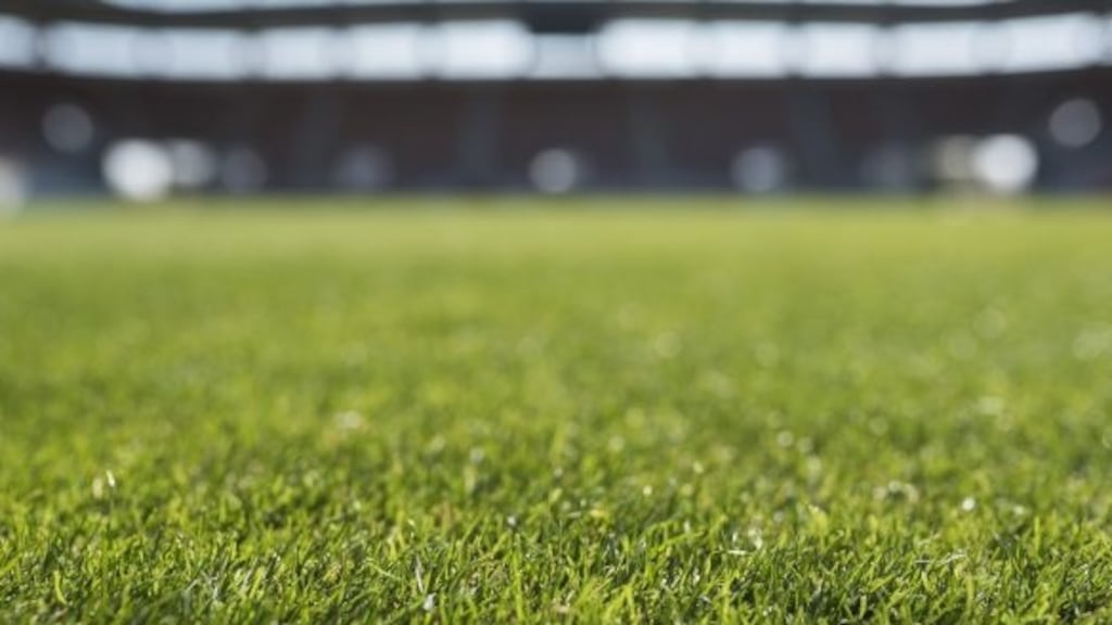 The Football Association of Ireland (FAI) said it noted the latest developments in the investigation. Photograph: iStock