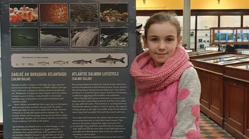 Molly (12) from Clonsilla in Dublin, scooped top prize in the 12-14 category in the Salmon of Colour competition at the National Museum.
