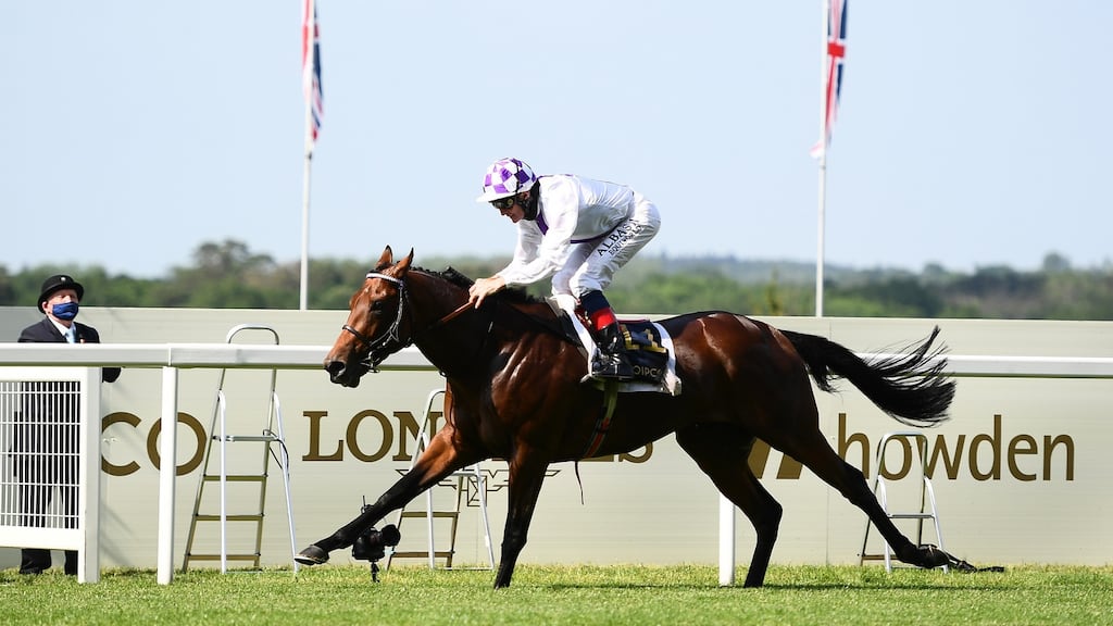 Poetic Flare could be heading to either Longchamp or Leopardstown, Jim Bolger has said. Photograph: Harry Trump/Getty