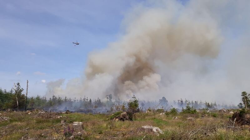 Fire services work to put out a forest fire near Saggart. Photograph: Dublin Fire Brigade