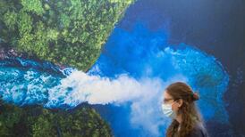 Cop15: Five key developments as significant biodiversity agreement reached