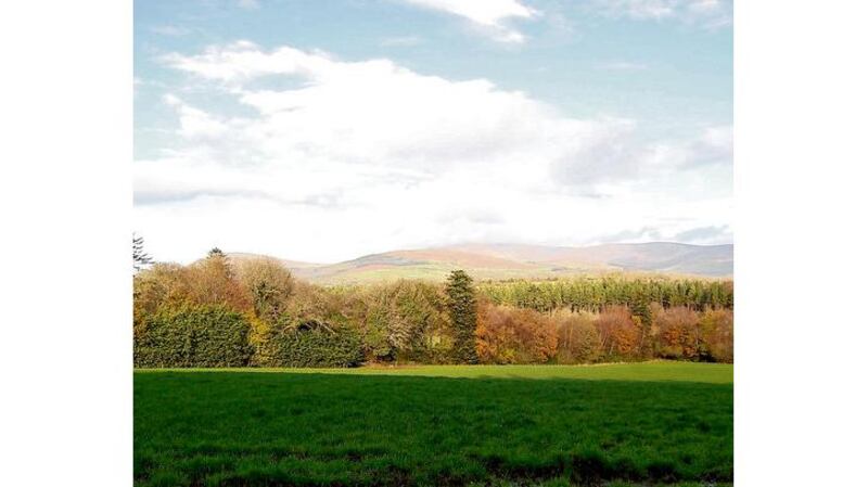 Main picture and top right: the proposed natural burial ground in Co Wexford, which awaits planning permission; (bottom right) one of several natural burial grounds that have been set up in the UK