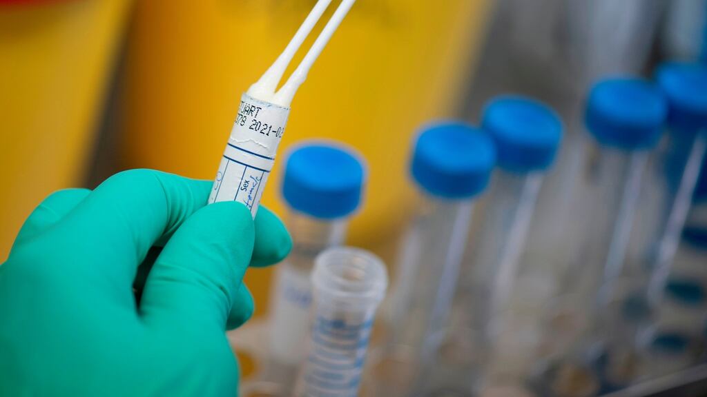 On foot of coronavirus fears, the OECD has cut its full-year global growth prediction to 2.4 per cent from 2.9 per cent. Photograph: Thomas Kienzle/AFP