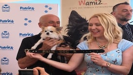 Cannes 2018: our correspondent goes to the dogs