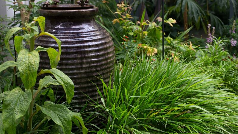 “I love the colour green: it’s so restful, so calming, so unifying in terms of how it pulls a planting scheme together,” says Duffy.  Photograph:  Damien Eagers