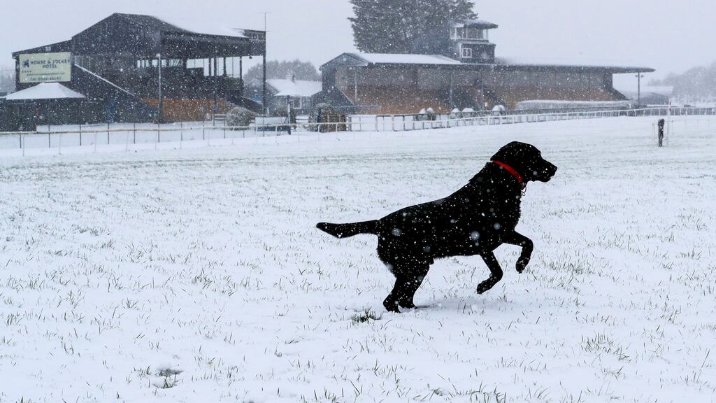 Racing at Thurles on Thursday was ancelled due to the weather. Photograph: Caroline Norris/Inpho