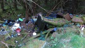 Coillte to spend €100,000 clearing waste dumped in Meath forests