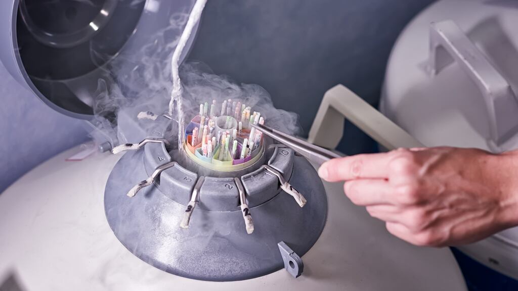 Dutch law also limits the number of children who may be fathered by any single sperm donor to 21. Photograph: Getty Images