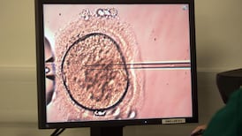 Babies best had early, say scientists