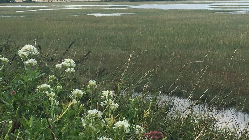 Great Island, Co Cork