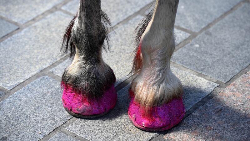 Belfast Pride: the glitter hoofs of the parade’s unicorn. Photograph: Charles McQuillan/Getty