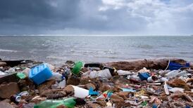 Calls for introduction of bottle deposit scheme increase