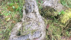 Cromwell and William of Orange statues returned to Cork