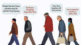 What Irish voters really think