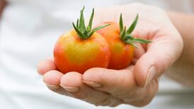 People who consumed high level of organic food less likely to get cancer, study finds