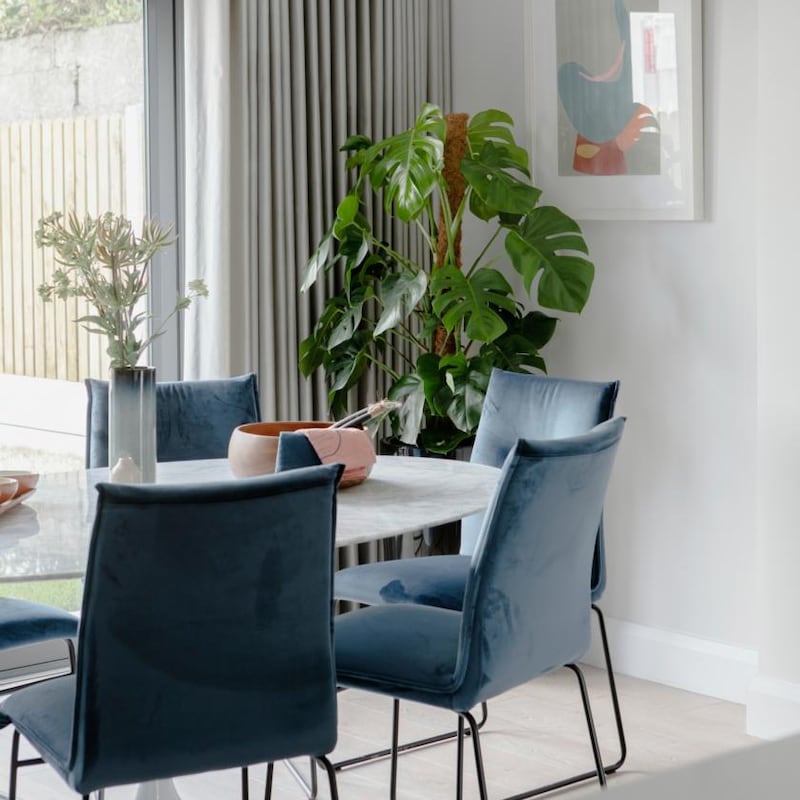 Dark green plants with waxed  leaves, such as the Swiss cheese plant, work well in shaded corners