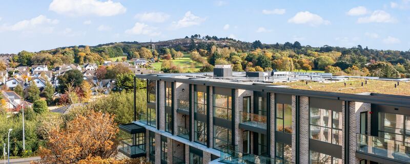 Hayfield, Killiney. Photograph: Michael Grubka