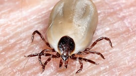 State’s first Lyme disease resource centre to open