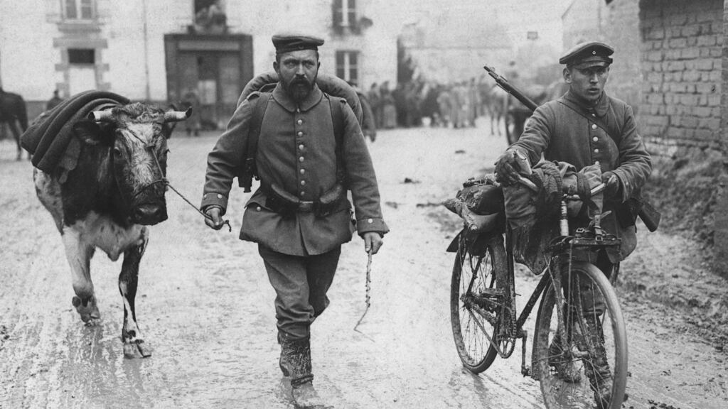 A cow wanders behind the German lines near Reims during the first World War. Photograph: R Sennecke/Paul Thompson/FPG/Getty Images