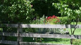My neighbour’s building overhangs our boundary wall