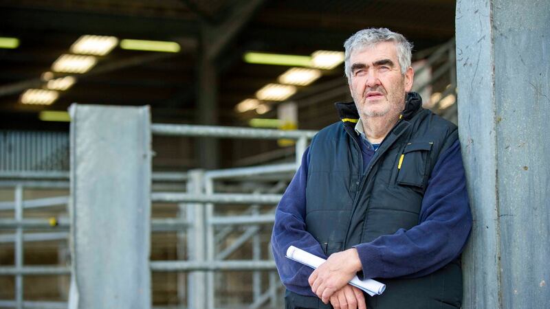 Farmer Tom O’Keeffe from Castletownroche pictured at the sheep auction at Macroom, Co Cork. Photograph: Daragh Mc Sweeney/Provision