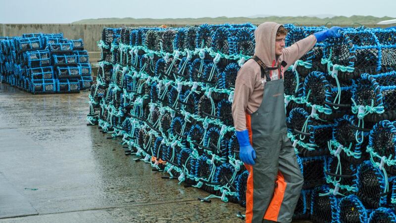 Colm O’Brien in the documentary Go Domhan san Fhuil