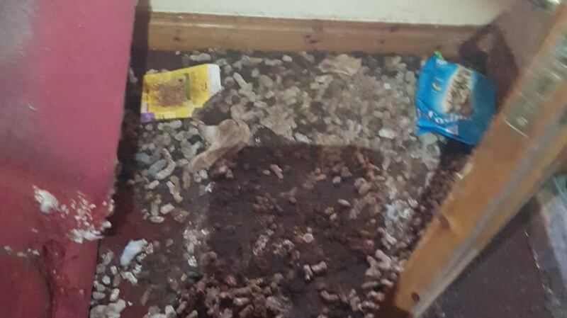 Tenants allowed two years of rotting rubbish to pile up in the Cork house