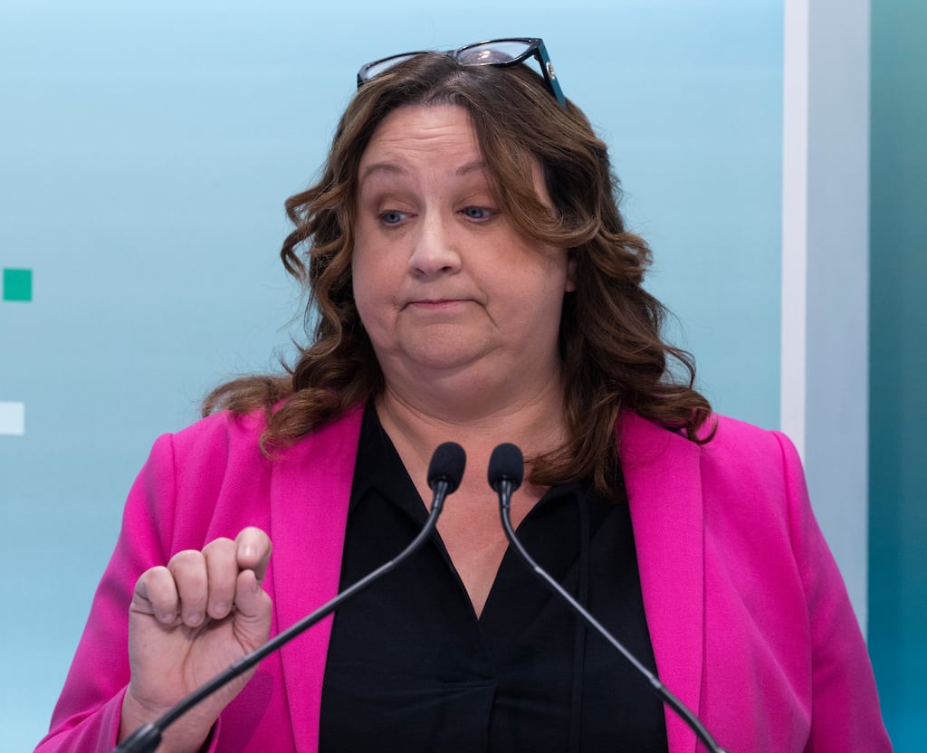 A farmer who threw a bag of cow dung in the direction of politician Anne Rabbitte has escaped a jail term for the assault. Photograph: Sam Boal/Collins