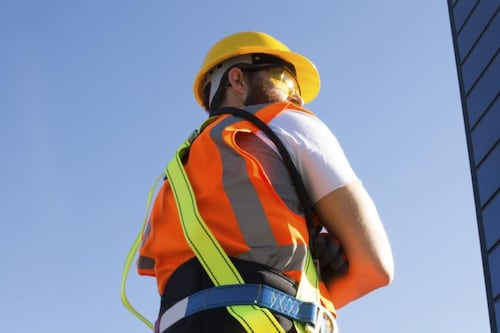 New Zealand CEO apologises for remark about Irish workers