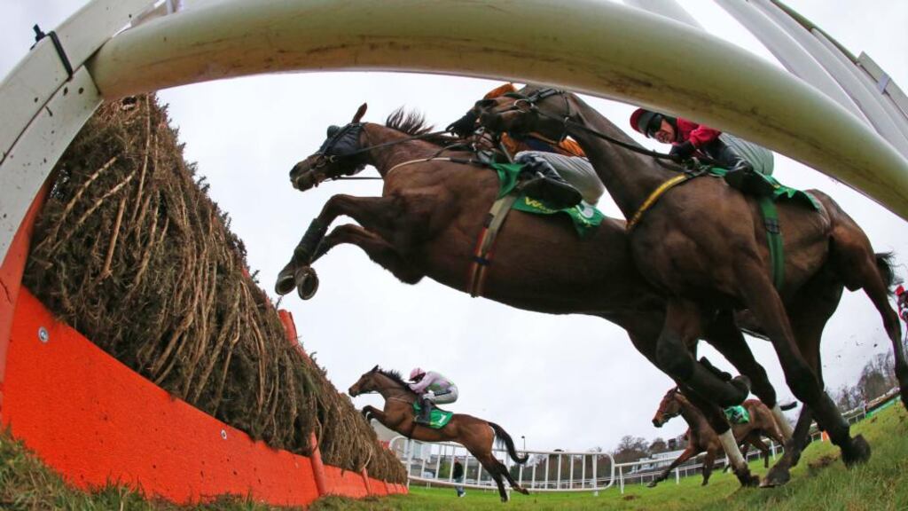 Bloodstock exports from the Republic to Britain were worth €204 million last year and Britain is the biggest market for Irish-bred horses. Photograph: Cathal Noonan/Inpho.