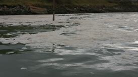 Untreated waste water released into Dublin Bay during storm